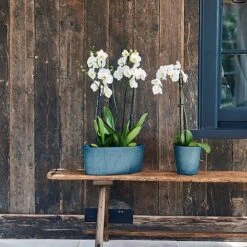 Pula Recylable Planter Sapphire H25Cm D24Cm 6 Pula Recylable Planter Sapphire H25Cm D24Cm -FruitHaven Shop 150609 1 copy