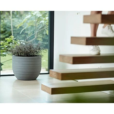 FruitHaven Shop -FruitHaven Shop 597158C