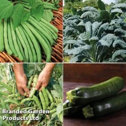 Allotment Seed Collection 8 Allotment Seed Collection -FruitHaven Shop ALLO KC9289 C