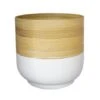 Bamboo White Planter D28Cm -FruitHaven Shop BWP28
