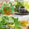 Botanical Infusions Plants - Collection 1 Botanical Infusions Plants - Collection -FruitHaven Shop Collage herb