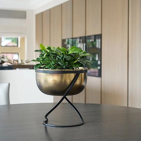 Indoor Kensington Brass Metal Round Planter On Stand H30Cm W28Cm 4 Indoor Kensington Brass Metal Round Planter On Stand H30Cm W28Cm - Image 2