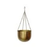 Indoor Mayfair Antique Brass Hanging Planter H16Cm D21Cm 2 Indoor Mayfair Antique Brass Hanging Planter H16Cm D21Cm -FruitHaven Shop IMABHP21