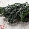 Kale 'Black Kale' 1 Kale 'Black Kale' -FruitHaven Shop KALE BLACK