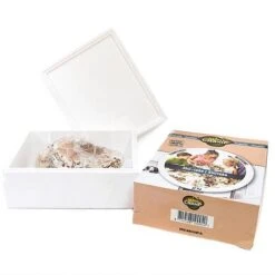 Mushroom Windowsill Kit - White Button 4 Mushroom Windowsill Kit - White Button -FruitHaven Shop KITS MUSHROOM T283591