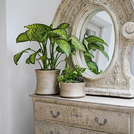 Luxe Bowl White Gold H14CM D24CM 6 Luxe Bowl White Gold H14CM D24CM - Image 4