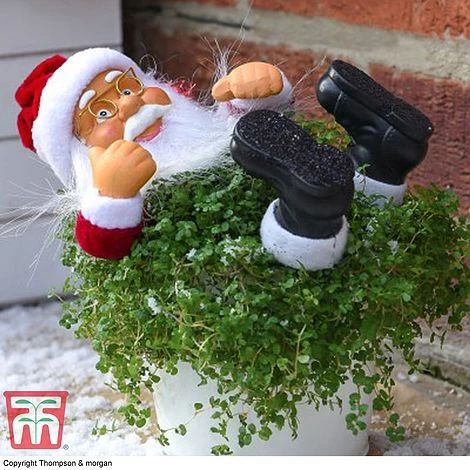 'Mind Your Own Business' Santa - Gift 4 'Mind Your Own Business' Santa - Gift - Image 2