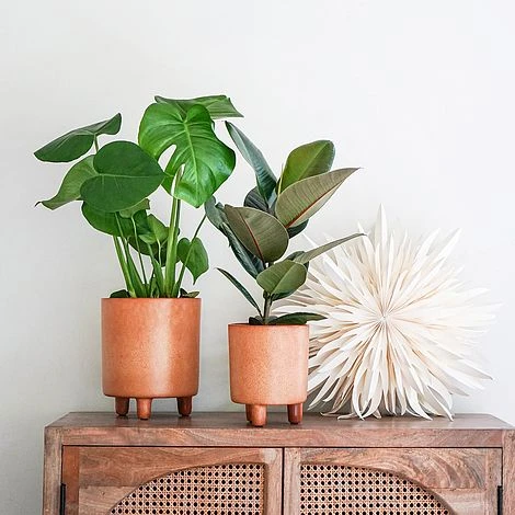 Pisa Reactive Glaze Planter Fawn H19CM D16CM 4 Pisa Reactive Glaze Planter Fawn H19CM D16CM - Image 2