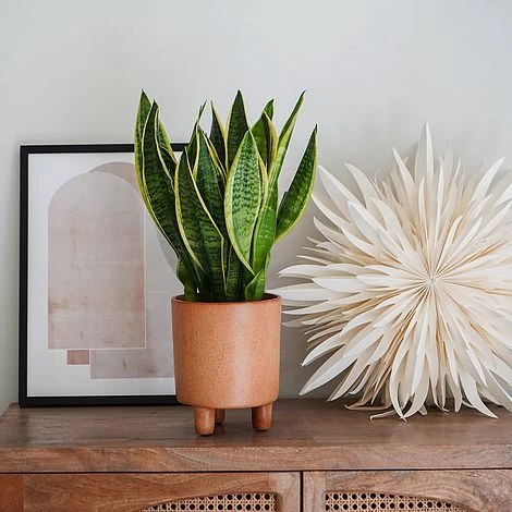 Pisa Reactive Glaze Planter Fawn H19CM D16CM 5 Pisa Reactive Glaze Planter Fawn H19CM D16CM - Image 3