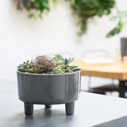 Pisa Slate Bowl H14Cm D19Cm -FruitHaven Shop PSB19 1