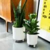 Pisa White Planter H19Cm D16Cm 1 Pisa White Planter H19Cm D16Cm -FruitHaven Shop PWP19 1