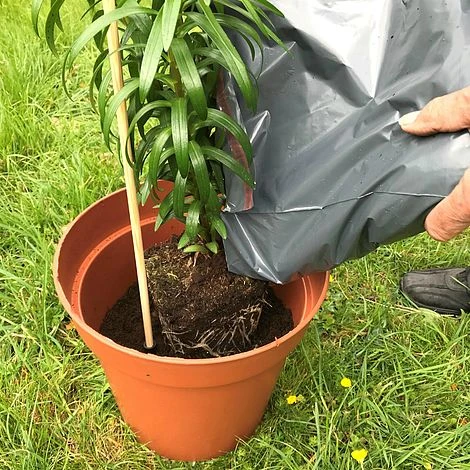 'Pot Master' Drainer Disc (packs Of 3) 6 'Pot Master' Drainer Disc (packs Of 3) - Image 4