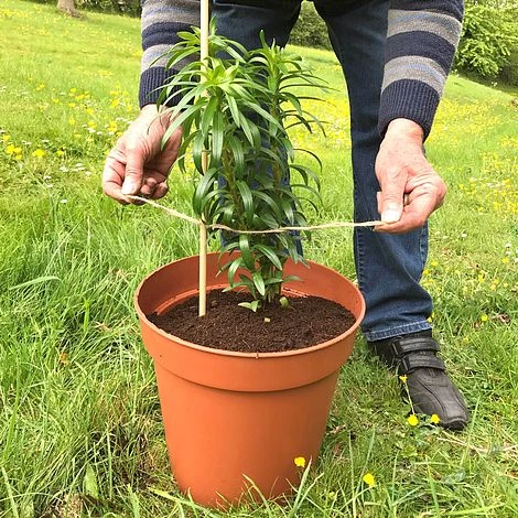 'Pot Master' Drainer Disc (packs Of 3) 8 'Pot Master' Drainer Disc (packs Of 3) - Image 6