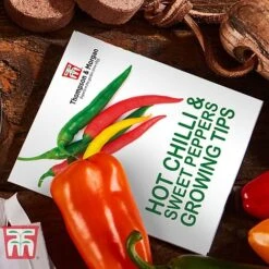 Red Hot Chilli & Sweet Peppers Growing Kit - Gift -FruitHaven Shop REDH KA8274 D