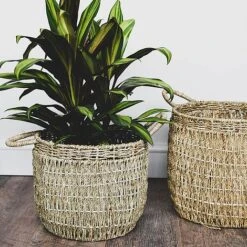 Seagrass Lined Basket Natural Set Of 2 -FruitHaven Shop SBNS2 1