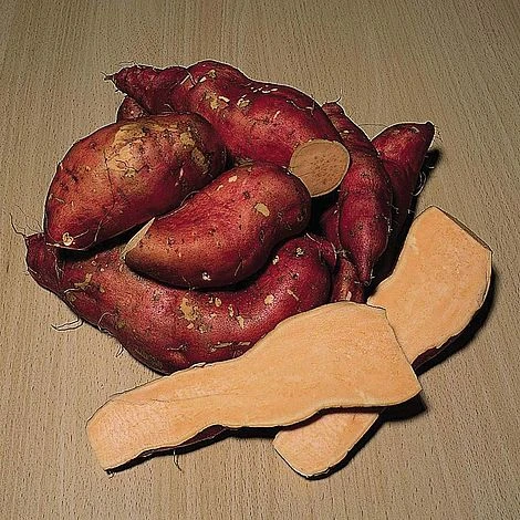 Sweet Potato 'Beauregard Improved' 4 Sweet Potato 'Beauregard Improved' - Image 2