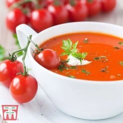 Tomato Trio Collection 12 Tomato Trio Collection -FruitHaven Shop TOMA RECIPE CUL111