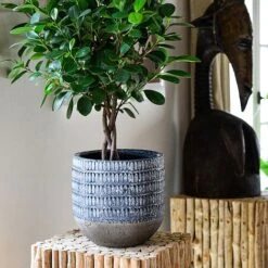 Treviso Planter Denim H20cm D21Cm -FruitHaven Shop TPD21 1
