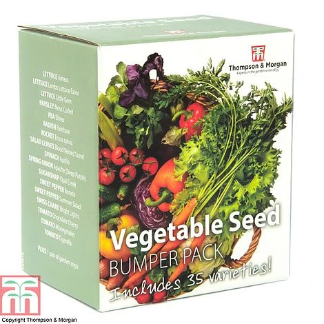 Vegetable Seed Bumper Pack 4 Vegetable Seed Bumper Pack - Image 2