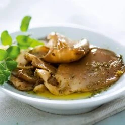 Mushroom Windowsill Kit - Oyster 7 Mushroom Windowsill Kit - Oyster -FruitHaven Shop VEMUS22773