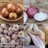 Onion, Shallot & Garlic Saver Pack 1 Onion, Shallot & Garlic Saver Pack -FruitHaven Shop onion coll
