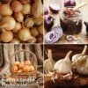 Grow Your Own Onion & Garlic Collection -FruitHaven Shop onion2
