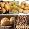 Potato Blight Tolerant Collection 1 Potato Blight Tolerant Collection -FruitHaven Shop potato blight1