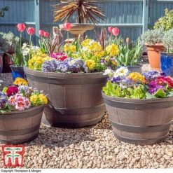 Wooden Barrel Effect Planter – Medium -FruitHaven Shop wood bar1