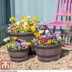 Wooden Barrel Effect Planter – Medium -FruitHaven Shop wood bar3