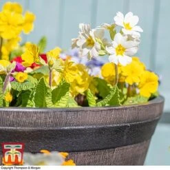 Wooden Barrel Effect Planter – Medium -FruitHaven Shop wood bar61