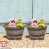 Wooden Barrel Effect Planter – Small 1 Wooden Barrel Effect Planter – Small -FruitHaven Shop wood small2